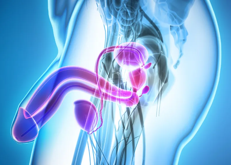Uro-Oncologia